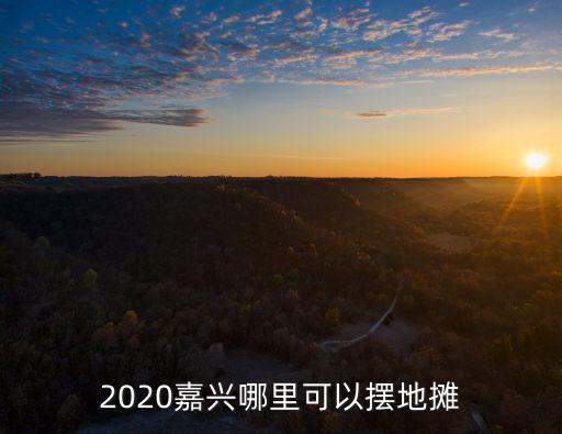 2020嘉興哪里可以擺地攤