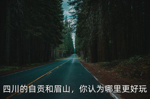 達州和眉山哪里好玩,四川的自貢和眉山