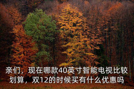 親們，現在哪款40英寸智能電視比較劃算，雙12的時候買有什么優惠嗎