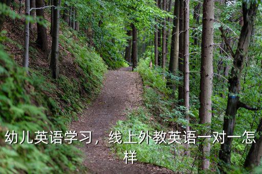 幼兒英語學(xué)習(xí)，線上外教英語一對一怎樣