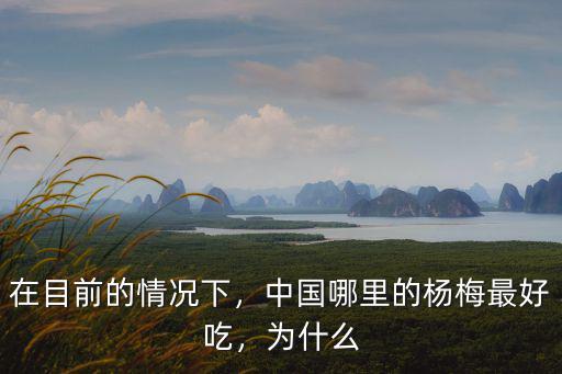 在目前的情況下，中國哪里的楊梅最好吃，為什么
