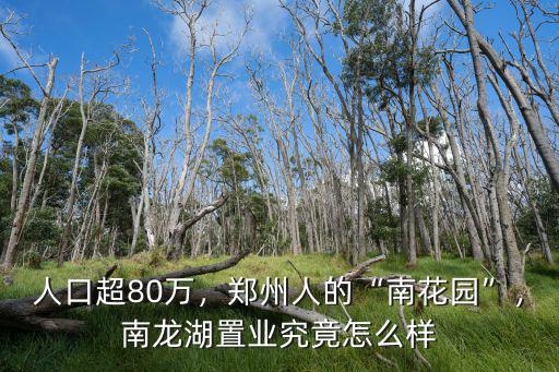 鄭州海銀置業怎么樣,南龍湖置業究竟怎么樣