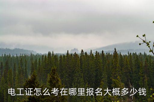 四川蓬安縣電工證在哪里考,電工證怎么考去哪里考