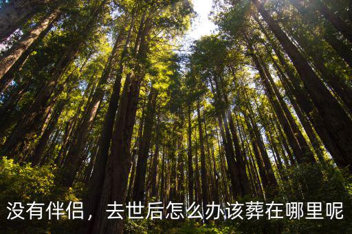 沒有伴侶，去世后怎么辦該葬在哪里呢