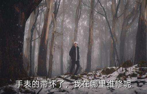 手表在瀘州哪里修,我在哪里維修呢