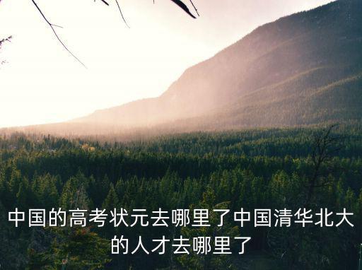 中國的高考狀元去哪里了中國清華北大的人才去哪里了