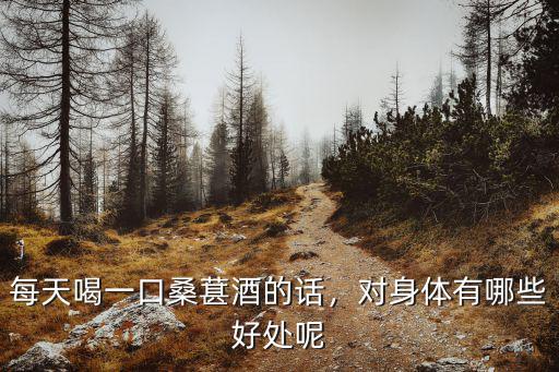 每天喝一口桑葚酒的話，對身體有哪些好處呢