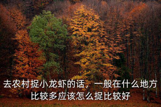 去農村捉小龍蝦的話，一般在什么地方比較多應該怎么捉比較好
