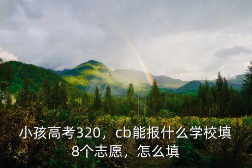 河南寶豐高考320分怎么選學校,小孩高考320