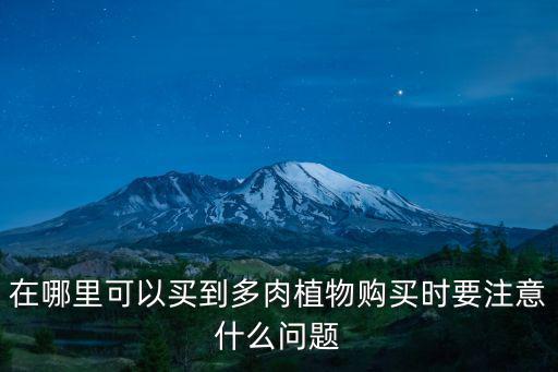 德陽哪里賣多肉植物,擺地攤賣多肉植物可行性嗎
