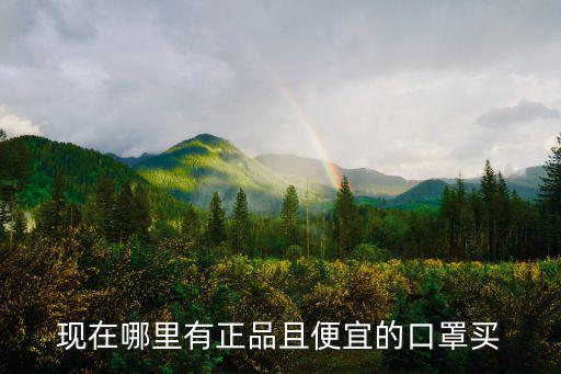 現在哪里有正品且便宜的口罩買