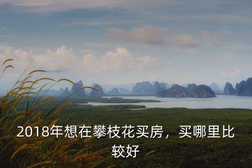 攀枝花哪里房子最好,買哪里比較好