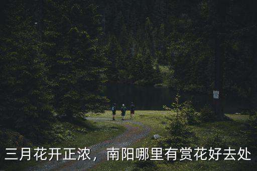 郁金香南陽在哪里,南陽白河的源頭和盡頭在哪里