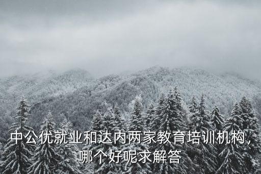 中公優(yōu)就業(yè)和達內(nèi)兩家教育培訓(xùn)機構(gòu)，哪個好呢求解答
