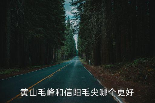 黃山毛峰和信陽毛尖哪個更好