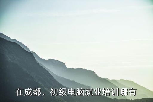 在成都，初級電腦就業培訓哪有