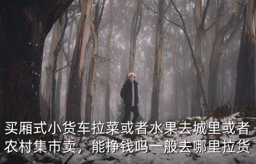 綿陽一般找小貨車拉貨在哪里,一般去哪里拉貨