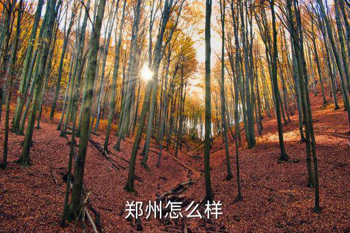鄭州新感覺工資怎么樣,鄭州教師工資怎么樣