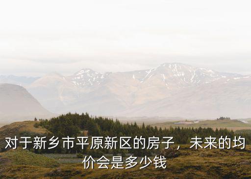 河南新鄉(xiāng)市的房子多少錢,對于新鄉(xiāng)市平原新區(qū)的房子