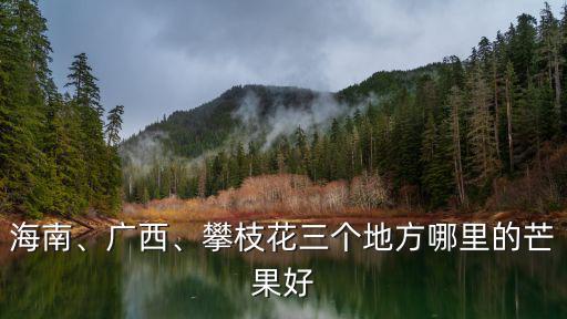 攀枝花哪里種芒果多,攀枝花三個地方哪里的芒果好