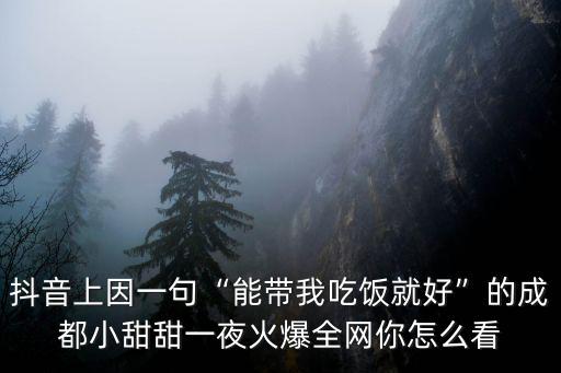 抖音上因一句“能帶我吃飯就好”的成都小甜甜一夜火爆全網你怎么看