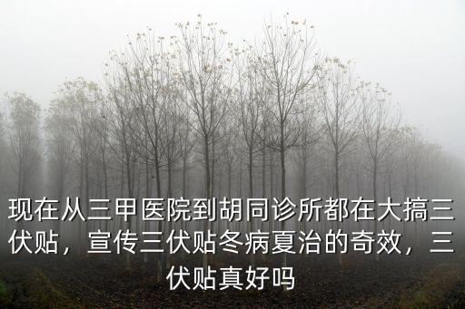 現在從三甲醫院到胡同診所都在大搞三伏貼，宣傳三伏貼冬病夏治的奇效，三伏貼真好嗎