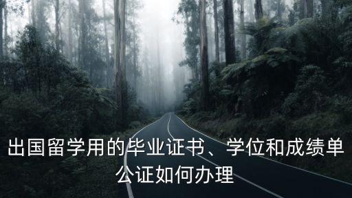 鄭州辦理出國留學公證的地方在哪里,出國留學用的畢業證書