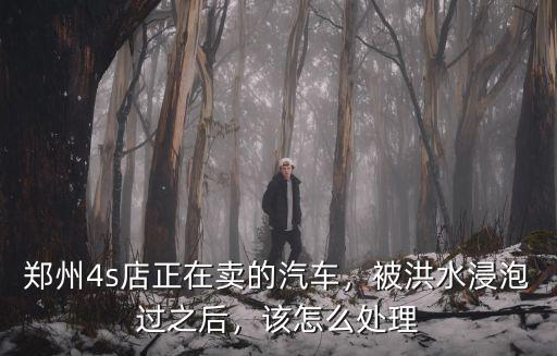 鄭州4s店正在賣的汽車，被洪水浸泡過之后，該怎么處理