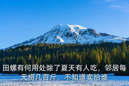 田螺有何用處除了夏天有人吃，鄰居每天撈幾百斤，不知道賣(mài)給誰(shuí)