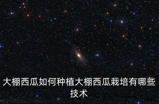 成都新津大棚西瓜種植基地在哪里,大棚西瓜如何種植