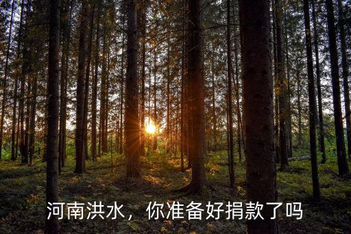 河南洪水，你準備好捐款了嗎
