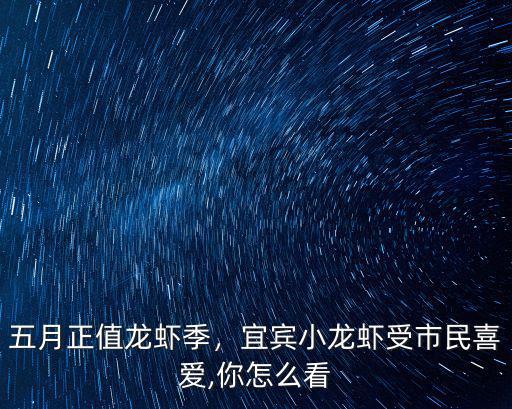 宜賓哪里龍蝦店可以加工龍蝦,在哪里可以買到好龍蝦料呢