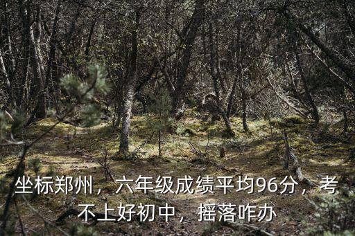 坐標鄭州，六年級成績平均96分，考不上好初中，搖落咋辦