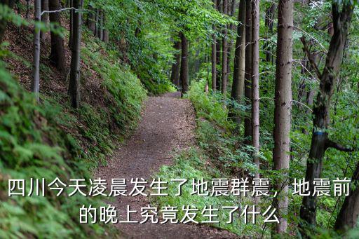 今天早上四川哪里有地震了,四川今天凌晨發生了地震群震