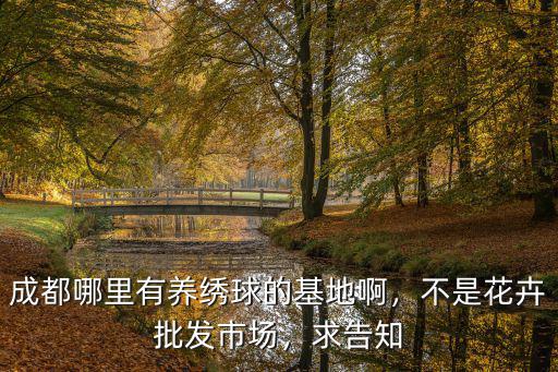 成都哪里有養(yǎng)繡球的基地啊，不是花卉批發(fā)市場(chǎng)，求告知
