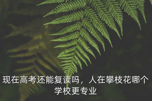 攀枝花高考在哪里,人在攀枝花哪個學校更專業