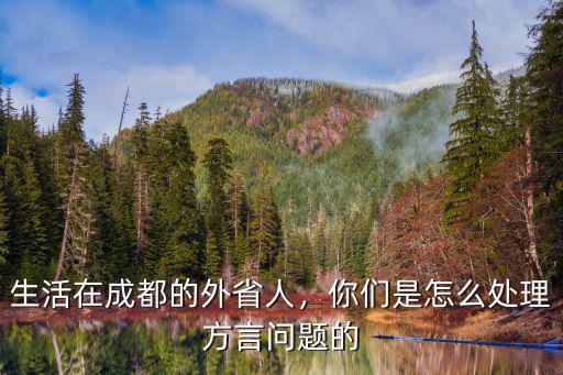 大姐你的老家在成都哪里的,生活在成都的外省人