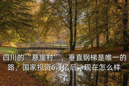 四川的“懸崖村”，垂直鋼梯是唯一的路，國家投資6.3億后，現在怎么樣了
