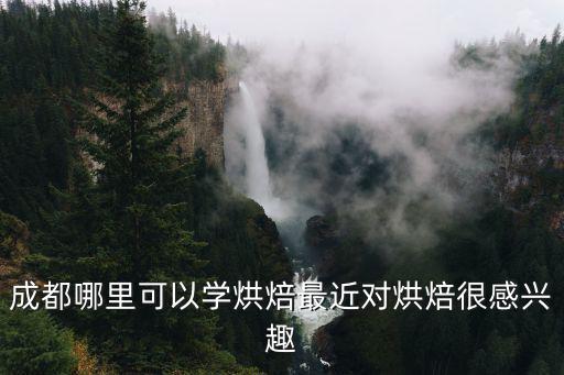 成都哪里能學烘焙專業,成都哪里可以學烘焙