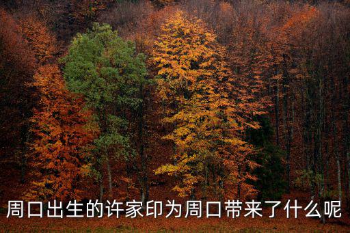 許家印是河南周口哪里人,中國首富許家印是河南人