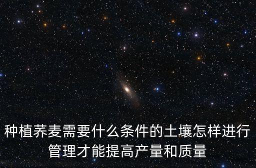 種植蕎麥需要什么條件的土壤怎樣進(jìn)行管理才能提高產(chǎn)量和質(zhì)量