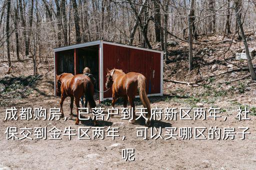 成都金牛區社保可以買哪里的房,社保買在金牛區的