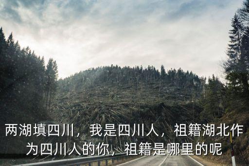 韓遂寧祖籍在哪里,武漢人的祖籍大多在哪里