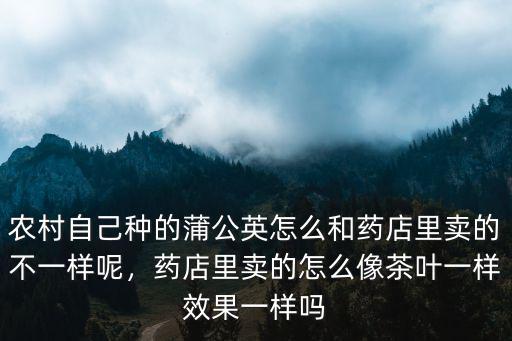 農(nóng)村自己種的蒲公英怎么和藥店里賣的不一樣呢，藥店里賣的怎么像茶葉一樣效果一樣嗎