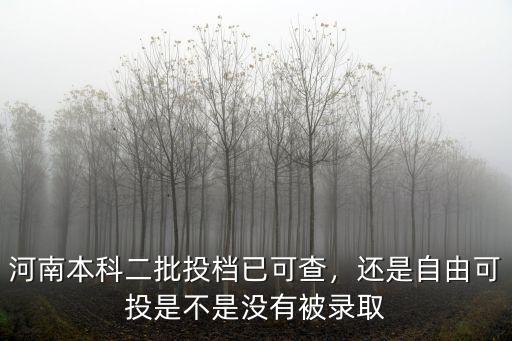 本科二批錄取結(jié)果怎么查詢(xún)河南,河南本科二批
