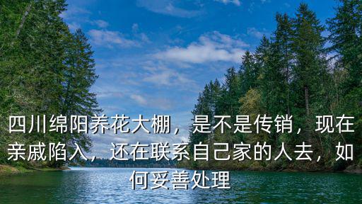 綿陽的多肉大棚在哪里,靠譜的多肉批發(fā)途徑有哪些