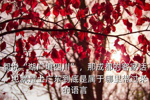 都說“湖廣填四川”，那成都的客家話，也就是土廣東到底是屬于哪里帶過來的語言