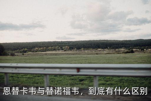 恩替卡韋與替諾福韋，到底有什么區別
