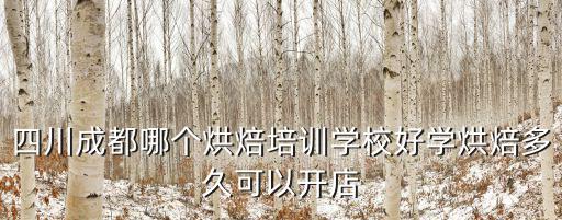 四川成都哪個烘焙培訓(xùn)學(xué)校好學(xué)烘焙多久可以開店