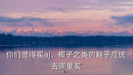 成都哪里能買椰子鞋,在哪里可以買到正品椰子鞋